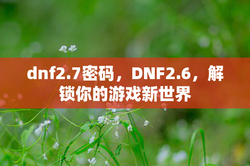 dnf2.7密码，DNF2.6，解锁你的游戏新世界