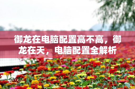 御龙在电脑配置高不高，御龙在天，电脑配置全解析