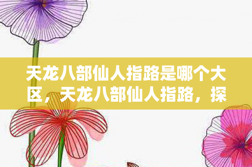 天龙八部仙人指路是哪个大区，天龙八部仙人指路，探寻神秘世界的奇幻之旅