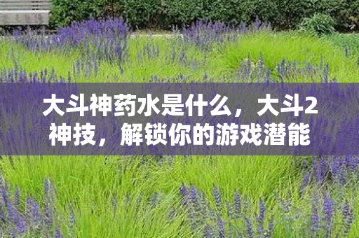 大斗神药水是什么，大斗2神技，解锁你的游戏潜能