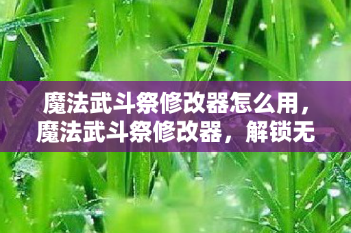 魔法武斗祭修改器怎么用，魔法武斗祭修改器，解锁无限可能的冒险之旅