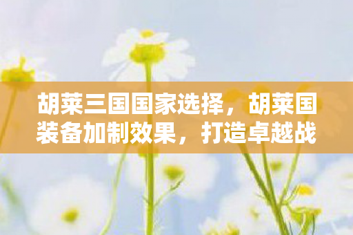 胡莱三国国家选择，胡莱国装备加制效果，打造卓越战斗力的关键