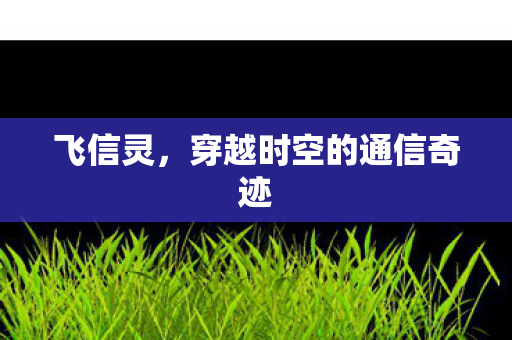 飞信灵,穿越时空的通信奇迹 飞信灵,穿越时空的通信奇迹