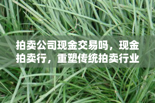 拍卖公司现金交易吗，现金拍卖行，重塑传统拍卖行业的未来