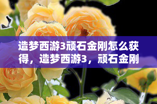 造梦西游3顽石金刚怎么获得，造梦西游3，顽石金刚的传奇之旅
