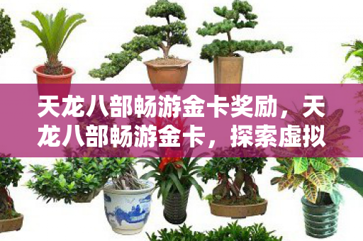 天龙八部畅游金卡奖励，天龙八部畅游金卡，探索虚拟世界的无限可能