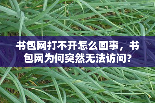 书包网打不开怎么回事,书包网为何突然无法访问? 书包网打不开怎么回事,书包网为何突然无法访问?