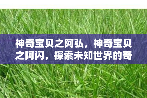 神奇宝贝之阿弘，神奇宝贝之阿闪，探索未知世界的奇妙旅程