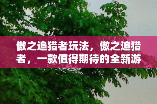 傲之追猎者玩法,傲之追猎者,一款值得期待的全新游戏 傲之追猎者玩法,傲之追猎者,一款值得期待的全新游戏