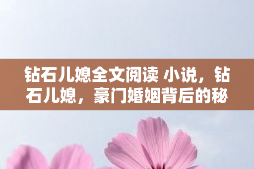 钻石儿媳全文阅读 小说，钻石儿媳，豪门婚姻背后的秘密