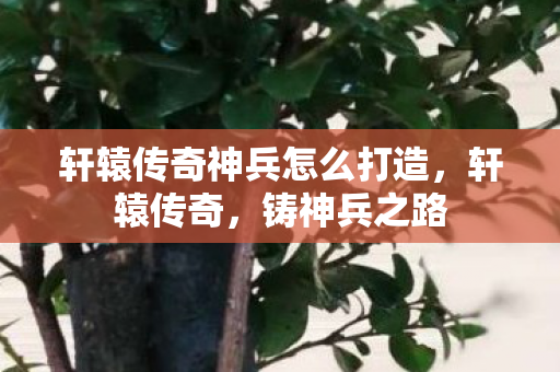 轩辕传奇神兵怎么打造，轩辕传奇，铸神兵之路