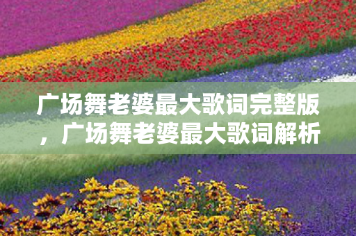 广场舞老婆最大歌词完整版，广场舞老婆最大歌词解析