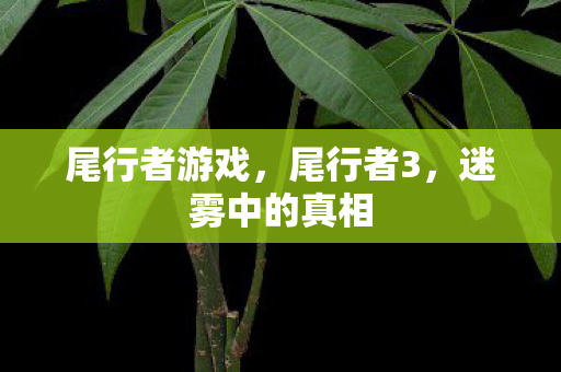 尾行者游戏，尾行者3，迷雾中的真相