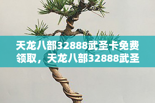 天龙八部32888武圣卡免费领取，天龙八部32888武圣卡，揭秘游戏中的绝世秘籍