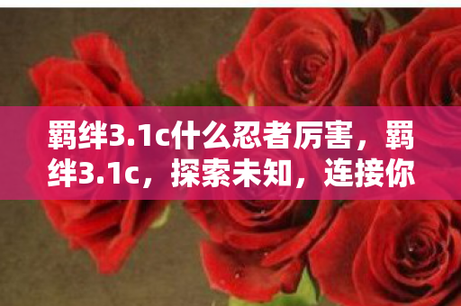羁绊3.1c什么忍者厉害,羁绊3.1c,探索未知,连接你我 羁绊3.1c什么忍者厉害,羁绊3.1c,探索未知,连接你我