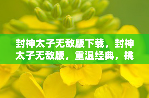 封神太子无敌版下载，封神太子无敌版，重温经典，挑战极限