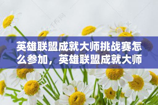 英雄联盟成就大师挑战赛怎么参加，英雄联盟成就大师挑战赛，一场电竞盛宴的幕后揭秘