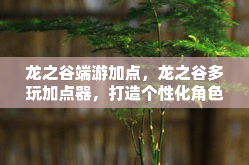 龙之谷端游加点，龙之谷多玩加点器，打造个性化角色，提升游戏体验