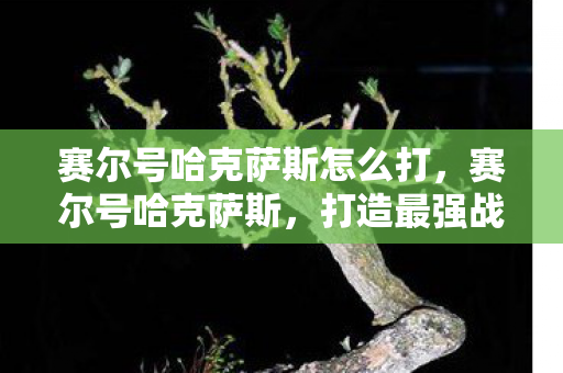 赛尔号哈克萨斯怎么打,赛尔号哈克萨斯,打造最强战斗精灵的攻略 赛尔号哈克萨斯怎么打,赛尔号哈克萨斯,打造最强战斗精灵的攻略