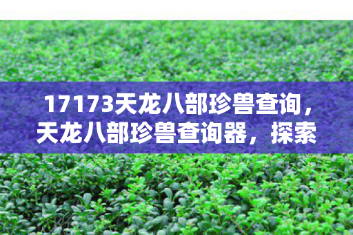 17173天龙八部珍兽查询，天龙八部珍兽查询器，探索神秘世界的得力助手