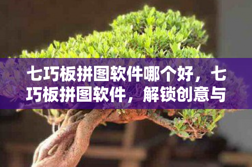 七巧板拼图软件哪个好,七巧板拼图软件,解锁创意与智慧的数字玩具 七巧板拼图软件哪个好,七巧板拼图软件,解锁创意与智慧的数字玩具