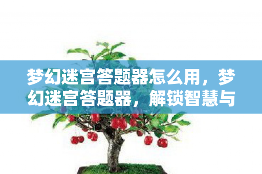 梦幻迷宫答题器怎么用,梦幻迷宫答题器,解锁智慧与冒险的钥匙 梦幻迷宫答题器怎么用,梦幻迷宫答题器,解锁智慧与冒险的钥匙