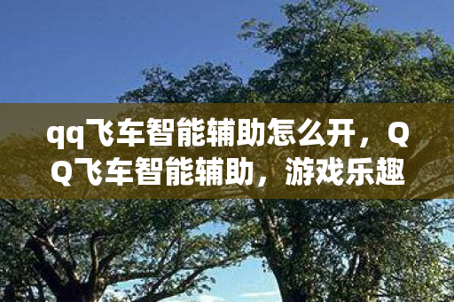 qq飞车智能辅助怎么开图片