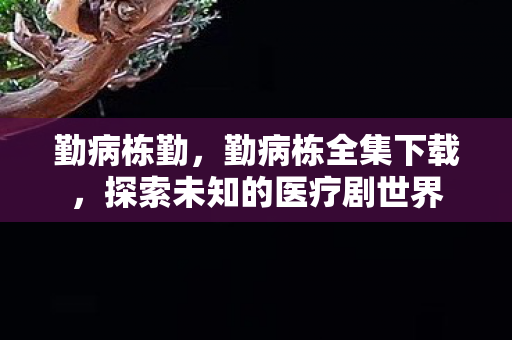 勤病栋勤,勤病栋全集下载,探索未知的医疗剧世界 勤病栋勤,勤病栋全集下载,探索未知的医疗剧世界
