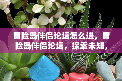 冒险岛伴侣论坛怎么进,冒险岛伴侣论坛,探索未知,携手共进的虚拟世界 冒险岛伴侣论坛怎么进,冒险岛伴侣论坛,探索未知,携手共进的虚拟世界