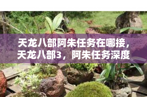 天龙八部阿朱任务在哪接，天龙八部3，阿朱任务深度解析