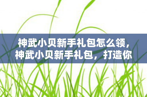 神武小贝新手礼包怎么领,神武小贝新手礼包,打造你的专属冒险之旅 神武小贝新手礼包怎么领,神武小贝新手礼包,打造你的专属冒险之旅