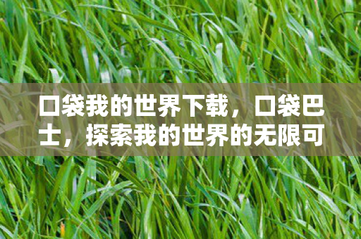 口袋我的世界下载，口袋巴士，探索我的世界的无限可能