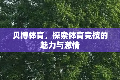 贝博体育，探索体育竞技的魅力与激情