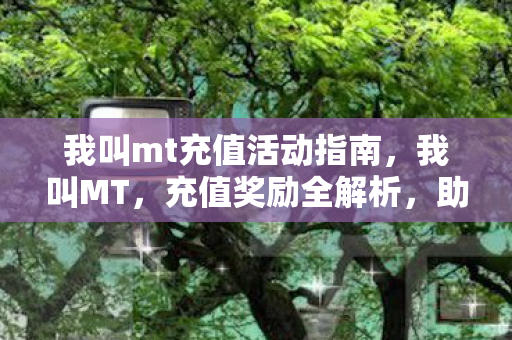 我叫mt充值活动指南，我叫MT，充值奖励全解析，助你游戏之旅更顺畅