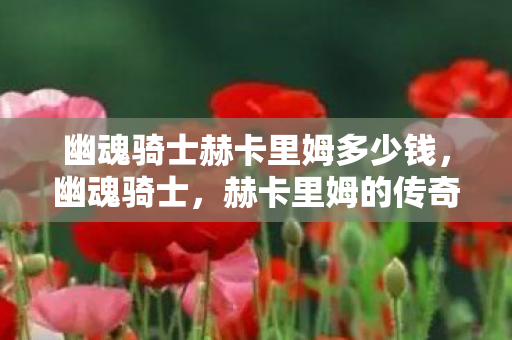 幽魂骑士赫卡里姆多少钱，幽魂骑士，赫卡里姆的传奇故事