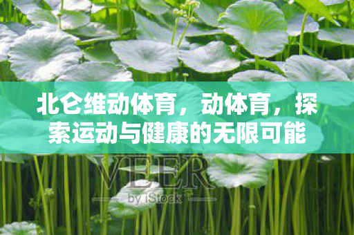 北仑维动体育，动体育，探索运动与健康的无限可能