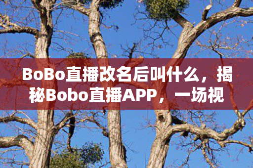 BoBo直播改名后叫什么，揭秘Bobo直播APP，一场视觉盛宴的幕后揭秘