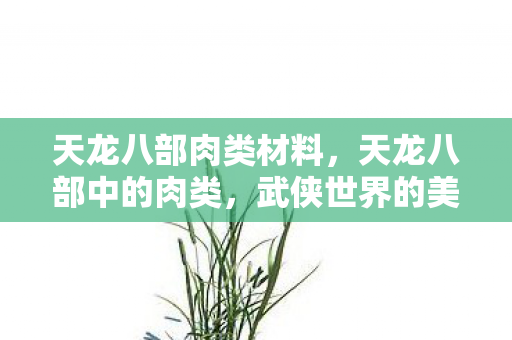 天龙八部肉类材料，天龙八部中的肉类，武侠世界的美食与象征
