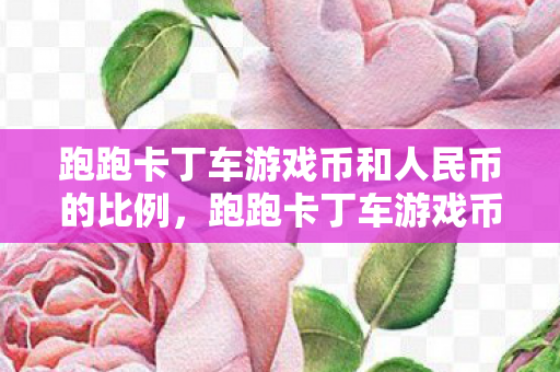 跑跑卡丁车游戏币和人民币的比例图片