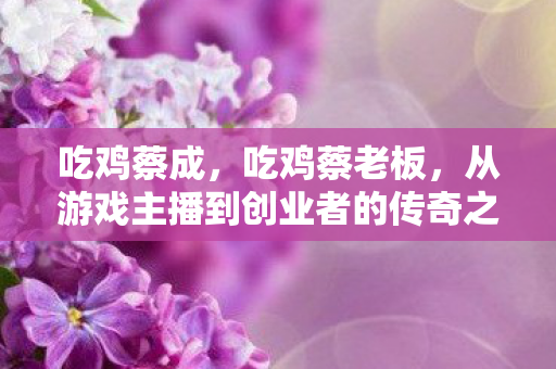 从游戏主播到创业者的传奇之路图片