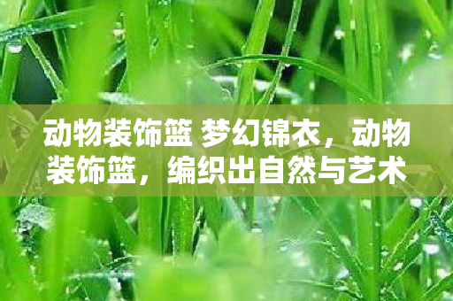 动物装饰篮 梦幻锦衣，动物装饰篮，编织出自然与艺术的完美融合