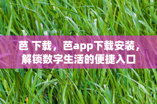 解锁数字生活的便捷入口图片