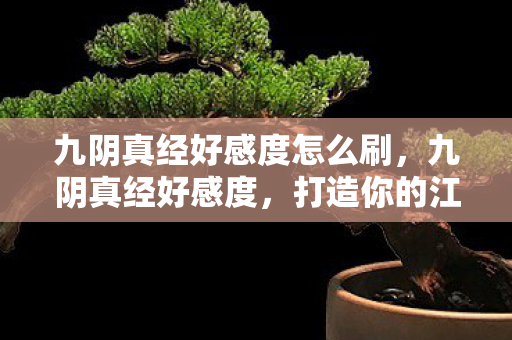 九阴真经好感度怎么刷，九阴真经好感度，打造你的江湖情缘