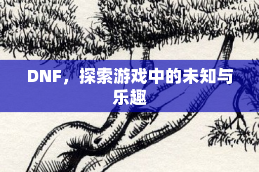 DNF，探索游戏中的未知与乐趣