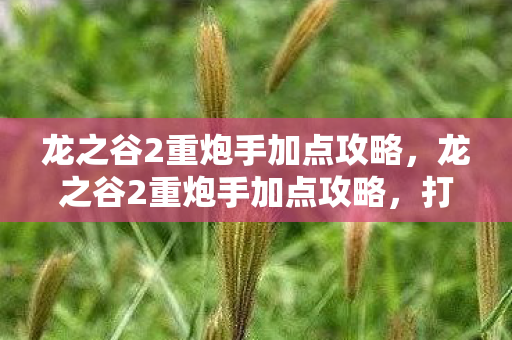 龙之谷2重炮手加点攻略，龙之谷2重炮手加点攻略，打造最强输出角色