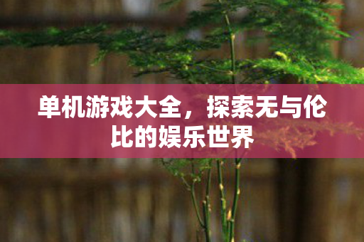 单机游戏大全，探索无与伦比的娱乐世界