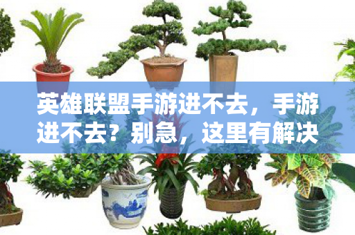 英雄联盟手游进不去，手游进不去？别急，这里有解决办法！