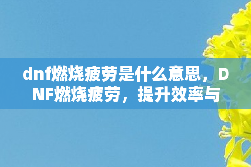 dnf燃烧疲劳是什么意思,DNF燃烧疲劳,提升效率与收益的双重利器 dnf燃烧疲劳是什么意思,DNF燃烧疲劳,提升效率与收益的双重利器