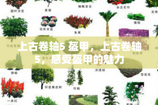 上古卷轴5 盔甲，上古卷轴5，感受盔甲的魅力