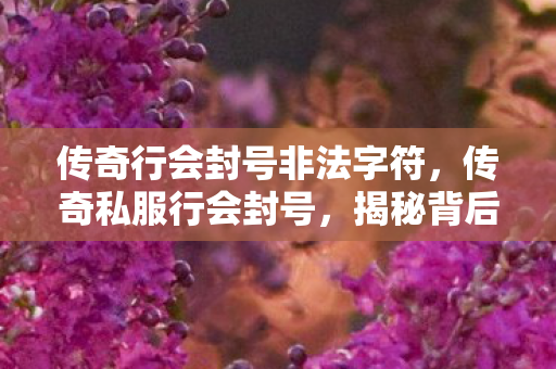 传奇行会封号非法字符，传奇私服行会封号，揭秘背后的原因与应对之策